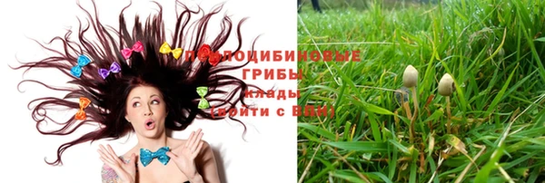 мефедрон Гусев
